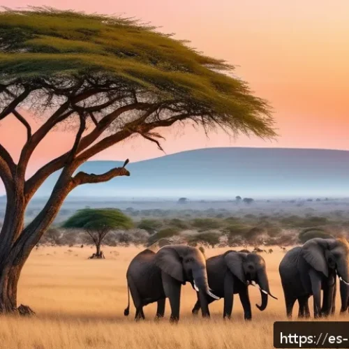 Home 30 마사이마라 국립공원 - A vibrant African savanna landscape at sunrise, with golden light illuminating vast grasslands dotte...